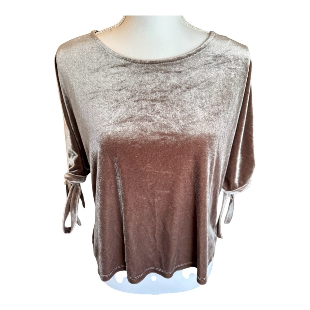 Simply Styled Velvet Blouse in Rich Brown